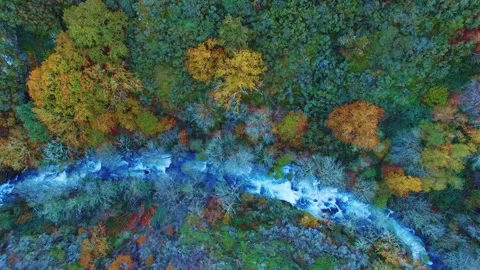 Meander river full color 1 Stockbeeldmateriaal 257538853