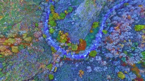 Meander river full color Video stock 257538795