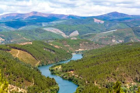 Meander of the river Zzere Stock Photos