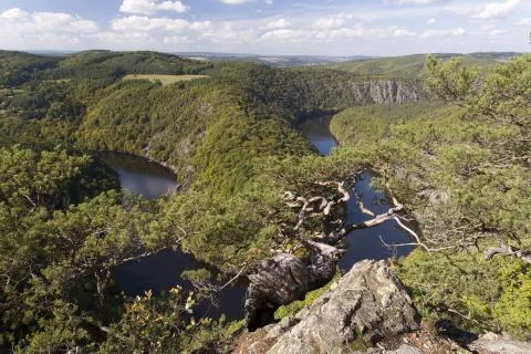 Meander of Vltava river Stock Photos