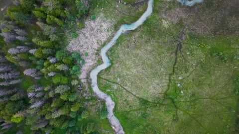 Meandering Creek Between Forest and Green Marsh Stock Footage 345297301