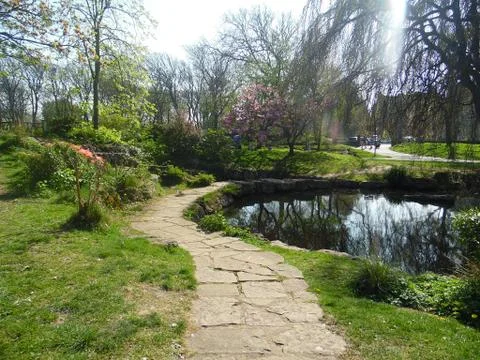 Meandering Path 스톡 사진