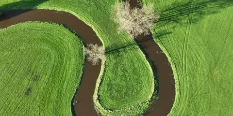 Meandering river Stock Footage 253884316