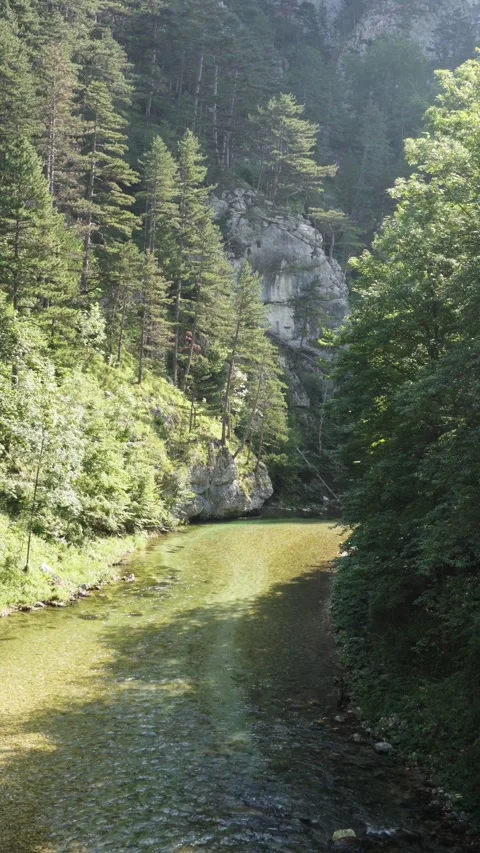 A Meandering River in a Forest Valley Stock Footage 316745758