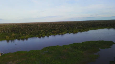 Meandering River Through Lush Forests of the Pantanal at Sunset Stock Footage 310805353