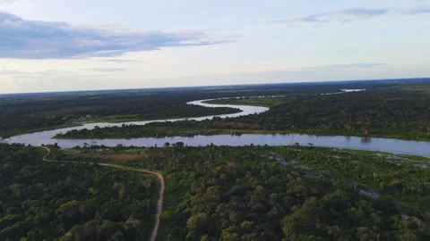 Meandering River Through Lush Forests of the Pantanal at Sunset Stock Footage 310966302