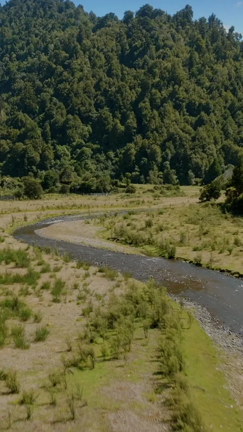 Meandering river winds through forested hills., Te Urewera Forest, NZ Stock Footage 301421159
