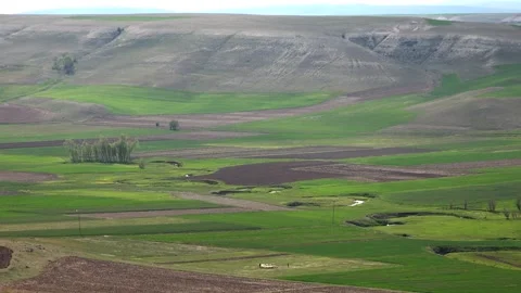 Meandering river winds through green farmland - Winding Stream and Field Mosaic Stock Footage 339646331