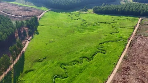 Meandering Stream Through Green Meadow - Aerial View Video stock 296542156