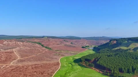 Meandering Stream Through Green Meadow - Aerial View Video stock 296542175