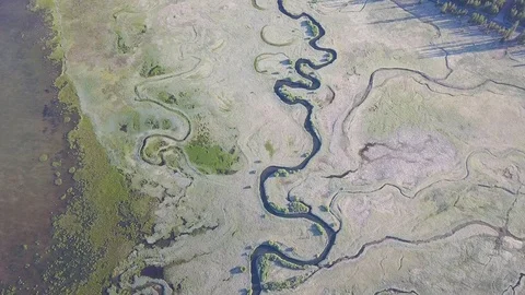 Meanders of the river and stream. Forest vegetation. Aerial image in the USA Stock Footage 129350553