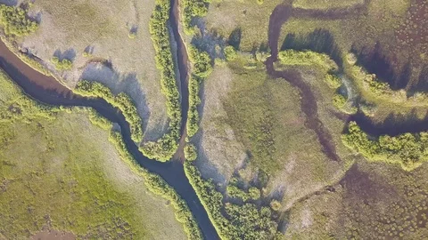 Meanders of the river and stream. Forest vegetation. Aerial image in the USA Stock Footage 129350591