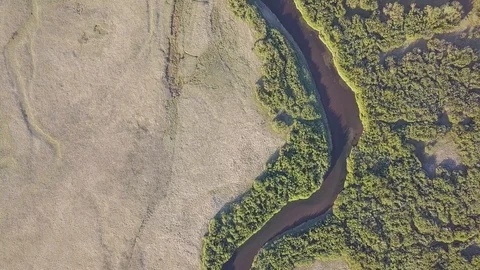 Meanders of the river and stream. Forest vegetation. Aerial image in the USA Stock Footage 129350679