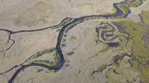 Meanders of the river and stream. Forest vegetation. Aerial image in the USA Stock Footage 129350779