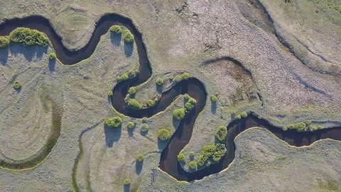 Meanders of the river and stream. Forest vegetation. Aerial image in the USA Stock Footage 129350824