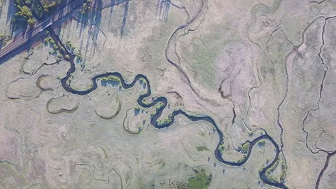 Meanders of the river and stream. Forest vegetation. Aerial image in the USA Stock Footage 129350914