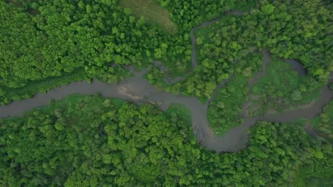 Meanders river delta river dron aerial video shot inland in floodplain forest Stock Footage 161021754