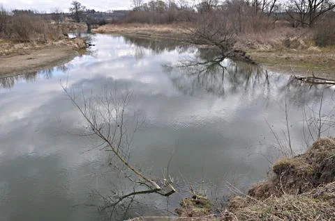 Meanders of the river Odra Stock Photos
