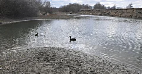Meanders of the river Odra Stock Photos