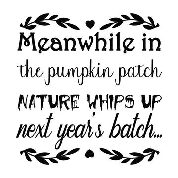 Meanwhile in the pumpkin patch nature whips up next year's typography t-shirt Stock Illustration