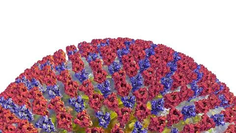 Measles virus, surface structure Stock Illustration