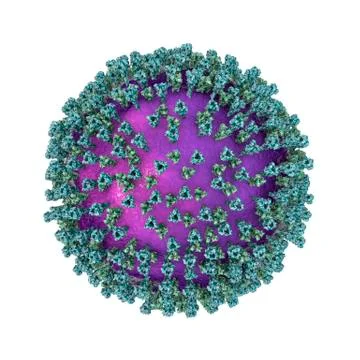Measles virus, surface structure Illustrazione stock