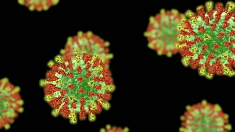 Measles viruses, animation Stock Footage 154857003