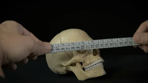 Measure a skull. Vidéo 126017473