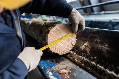 Measure tree's diameter Stock Photos