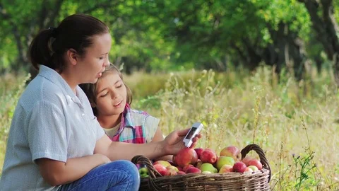 Measurement For The Content Of Nitrates In Apples Stock Footage 79821287
