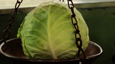 Measuring Cabbage Stock Footage 32812528