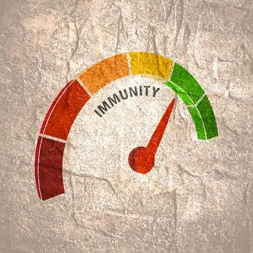 Measuring device concept Stock Illustration