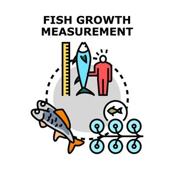 Measuring fish growth progress in aquaculture farming industry Stockillustratie