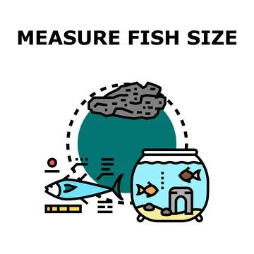 Measuring fish size for aquarium development and care Stock Illustration