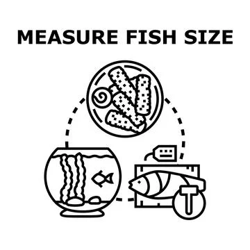 Measuring fish size concept vector icon illustration Stock Illustration