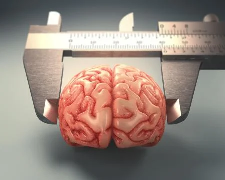 Measuring The Human Intelligence Stock Illustration