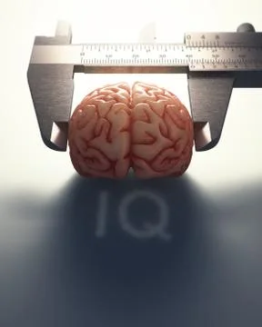 Measuring The Human Intelligence Stock Illustration