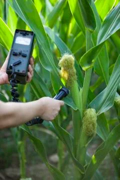 Measuring radiation Stock Photos