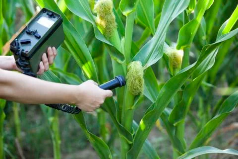 Measuring radiation Stock Photos