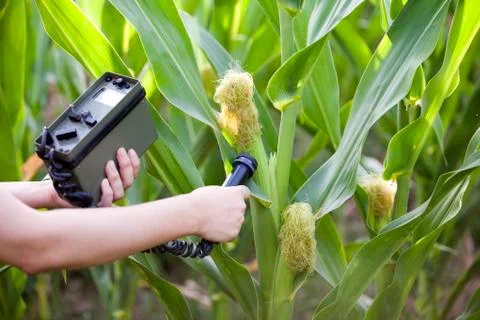 Measuring radiation Stock Photos