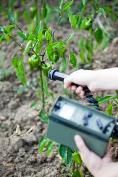 Measuring radiation Stock Photos