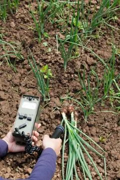 Measuring radiation Foto stock
