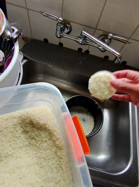 Measuring Rice Into The Rice Cooker Stock Footage 310761013