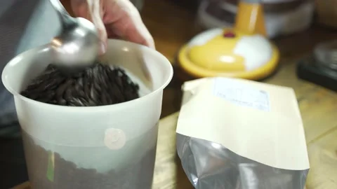 Measuring roasted coffee beans Video stock 179515596
