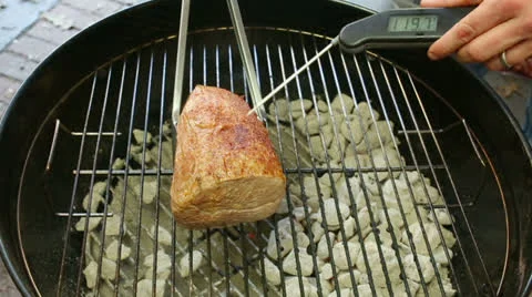 Measuring Rumproast Temperature Stock Footage 22578760