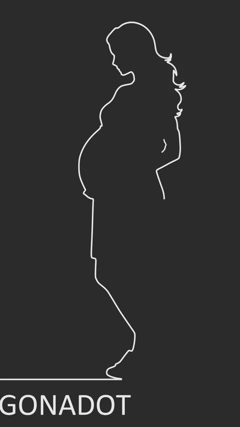 Measuring scale showing changes in hormone gonadotropin level. Silhouette of Video stock 318335337