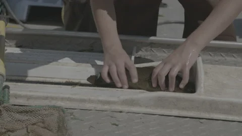 Measuring Squirming Fish On A Table Stock Footage 149514227