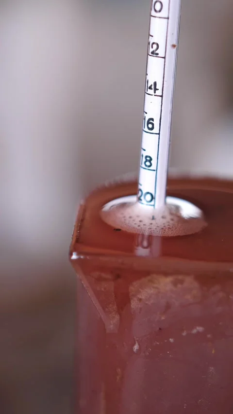 Measuring Sugar Levels with a Hydrometer. Accuracy of alcohol content in wine Stock Footage 319390686