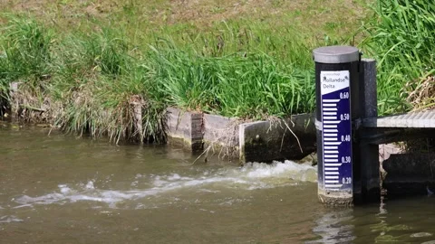 Measuring water levels 動画素材 307166609