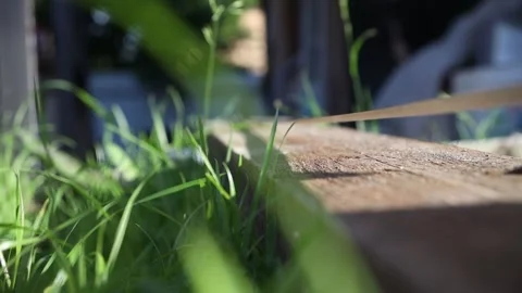 Measuring a wooden board using a construction ruler Video stock 278265117